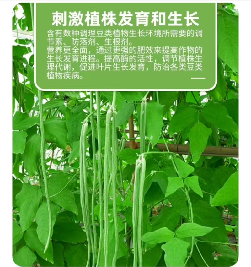 豆满藤豆类豆角专用肥料钼元素加强型豆类嫩直长
