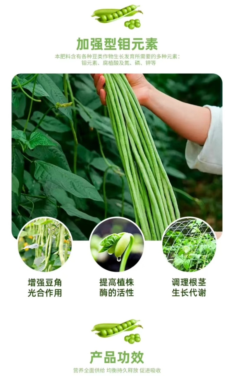 豆满藤豆类豆角专用肥料钼元素加强型豆类嫩直长