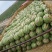 宁夏兴仁大量现货一手货源保质保量专业对接电商市场