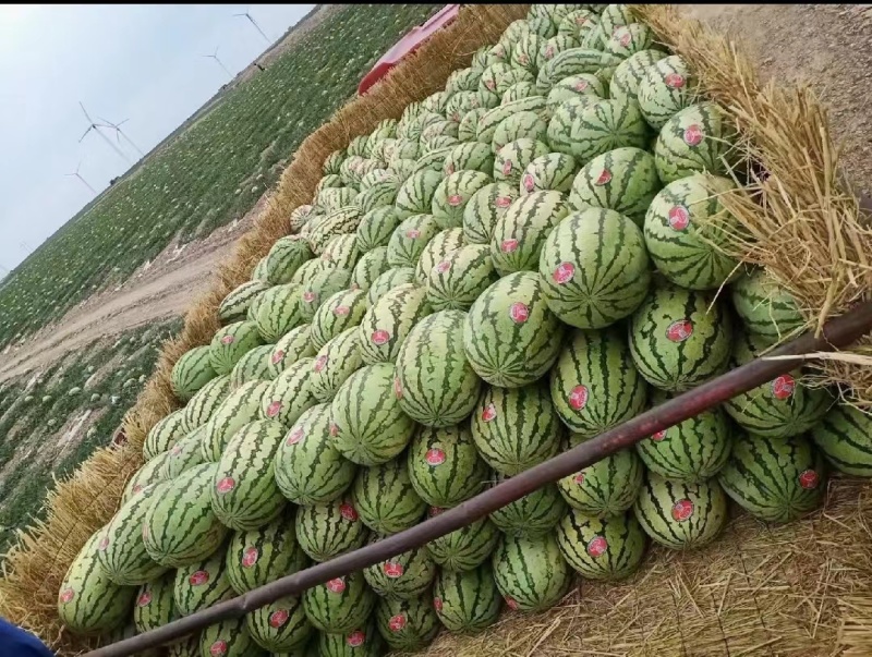 宁夏兴仁大量现货一手货源保质保量专业对接电商市场