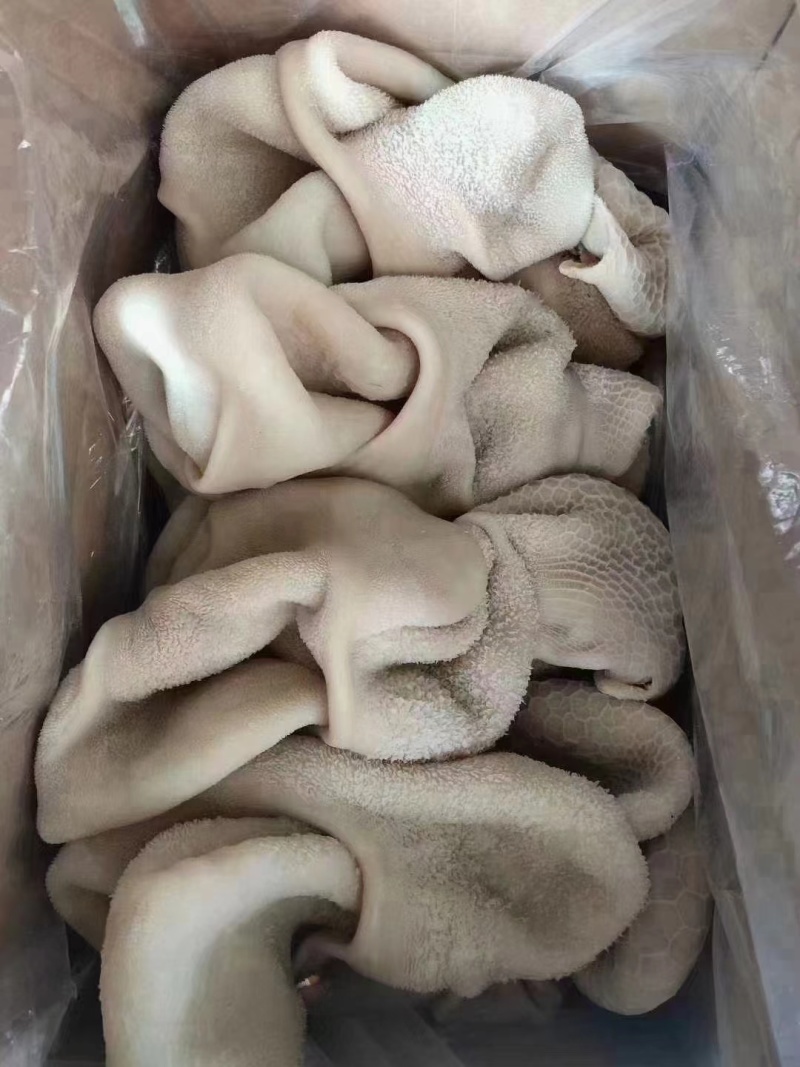 熟羊肚，厂家直销，长期供应，欢迎各位老板光临。