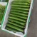 6月26号，现货，现货，