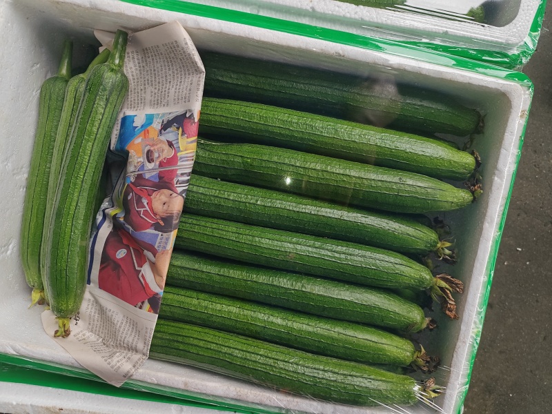 6月26号，现货，现货，
