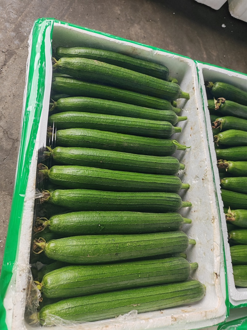 6月26号，现货，现货，
