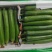 6月26号，现货，现货，