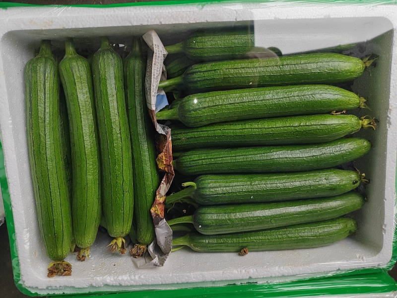 6月26号，现货，现货，