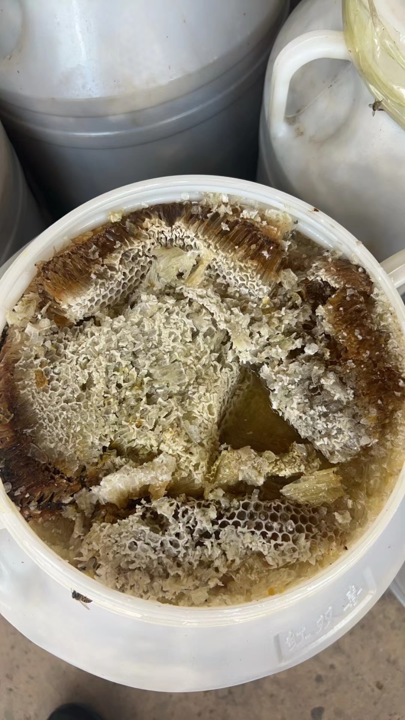 野生大桂蜜