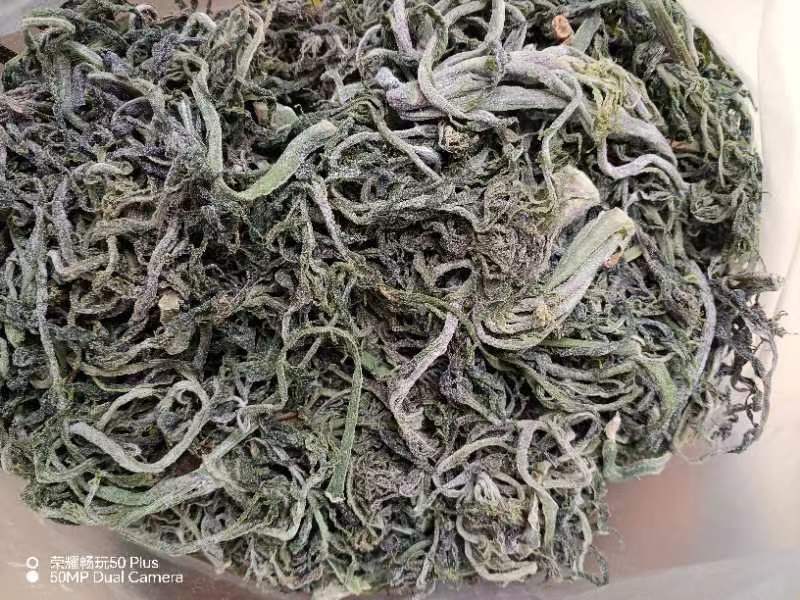 陕西宁强干品香椿芽一等品保质保量