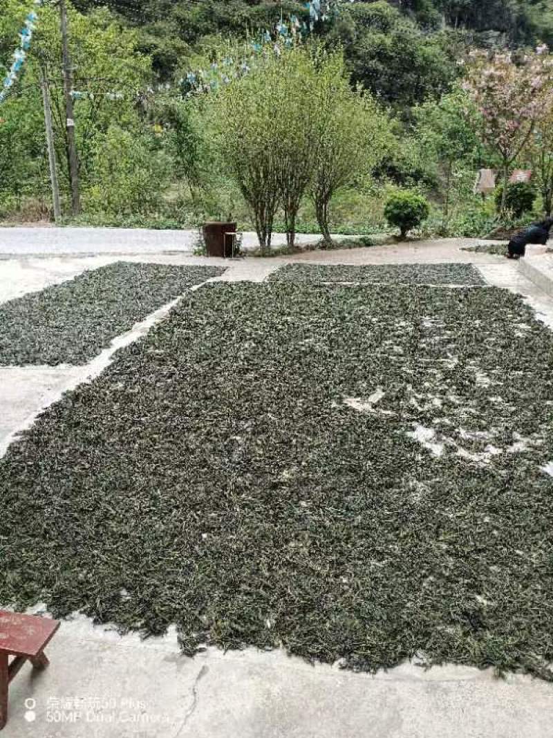 陕西宁强干品香椿芽一等品保质保量