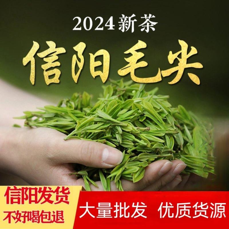 毛尖茶叶2024新茶茶叶信阳绿茶春茶散装明前手工嫩芽浓