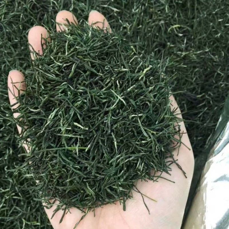 毛尖茶叶2024新茶茶叶信阳绿茶春茶散装明前手工嫩芽浓