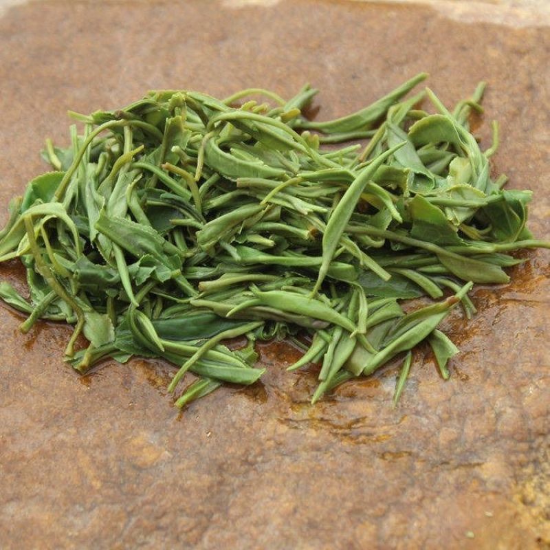 毛尖茶叶2024新茶茶叶信阳绿茶春茶散装明前手工嫩芽浓