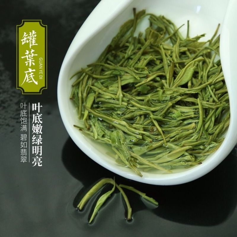 毛尖茶叶2024新茶茶叶信阳绿茶春茶散装明前手工嫩芽浓