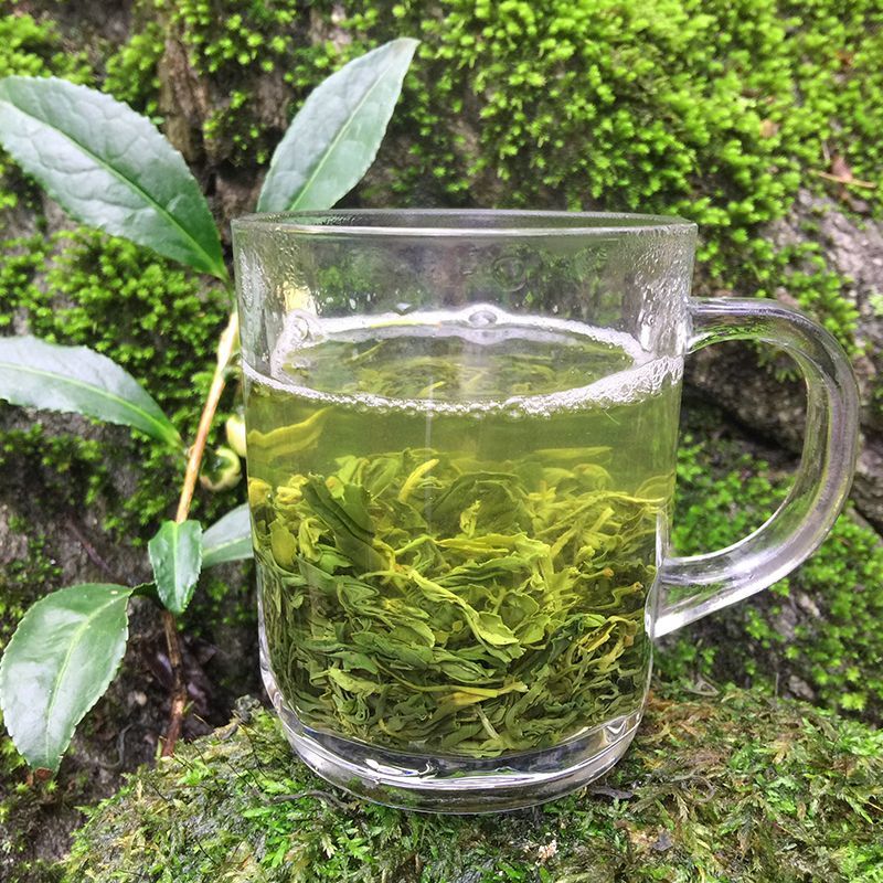 毛尖茶叶2024新茶茶叶信阳绿茶春茶散装明前手工嫩芽浓