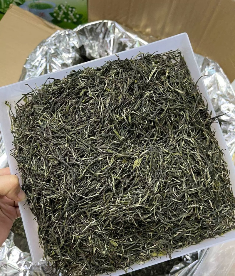 毛尖茶叶2024新茶茶叶信阳绿茶春茶散装明前手工嫩芽浓