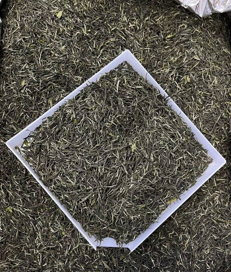 毛尖茶叶2024新茶茶叶信阳绿茶春茶散装明前手工嫩芽浓