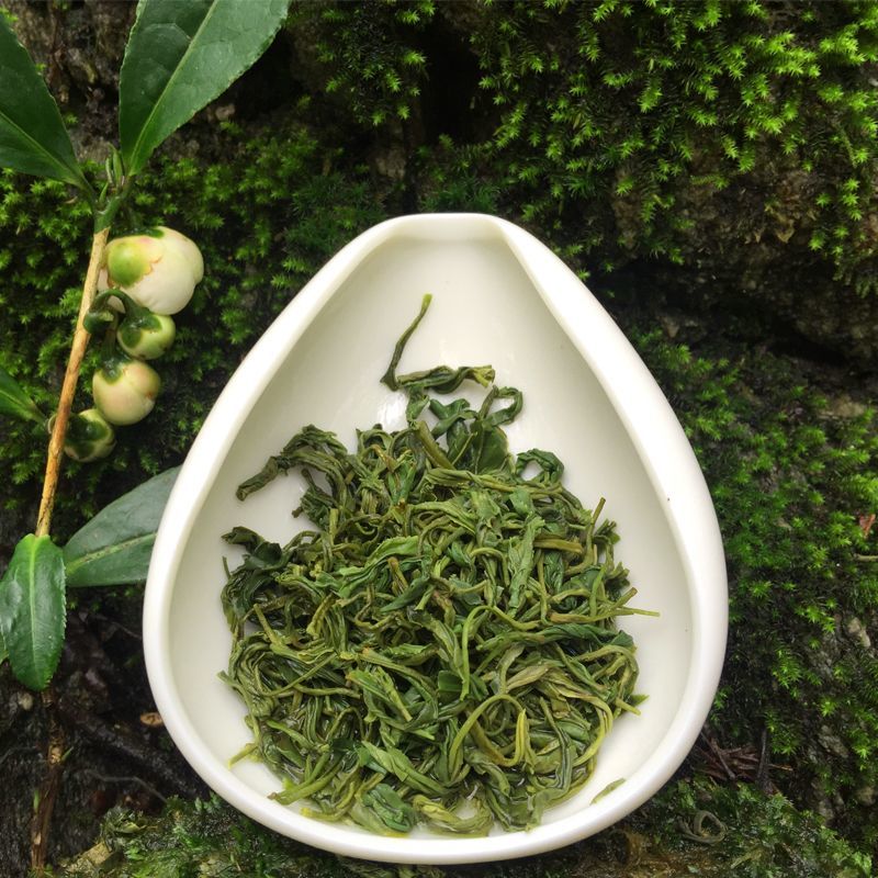 毛尖茶叶2024新茶茶叶信阳绿茶春茶散装明前手工嫩芽浓