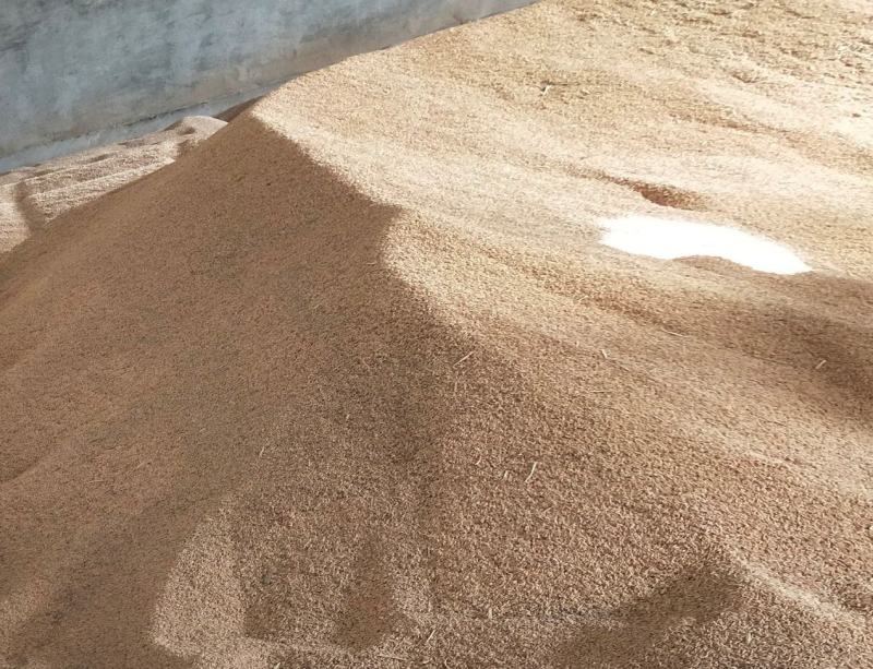 大量采购，销售储备粮（国家粮食储备库稻谷）以及水稻