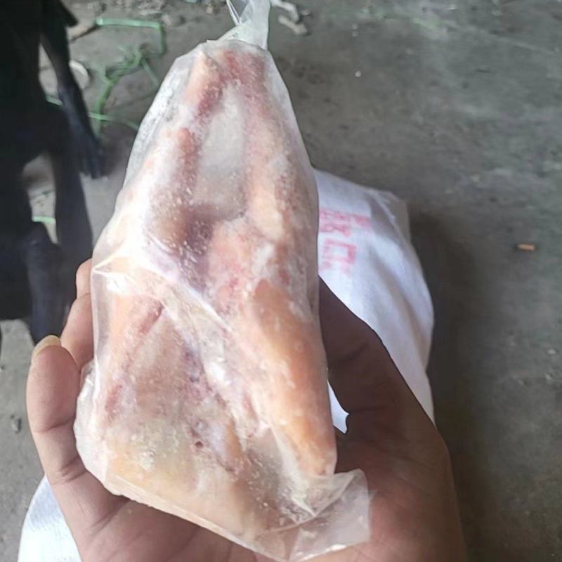 36只的西装鸡