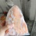 36只的西装鸡