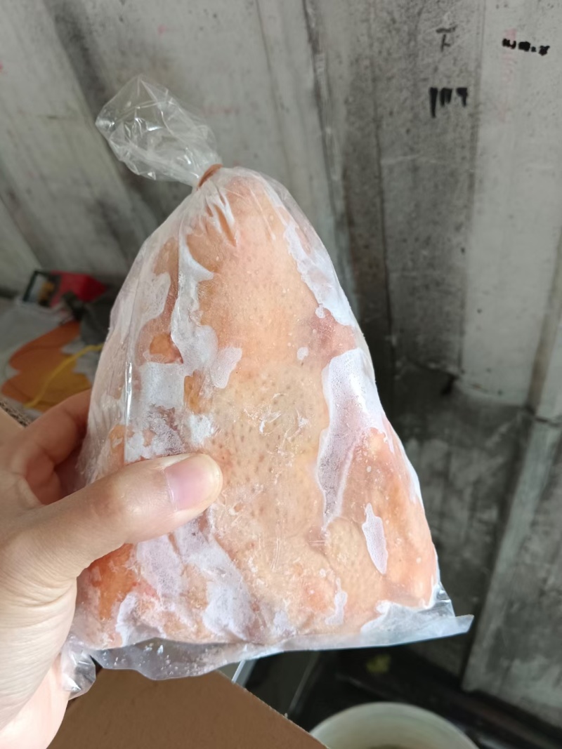 36只的西装鸡