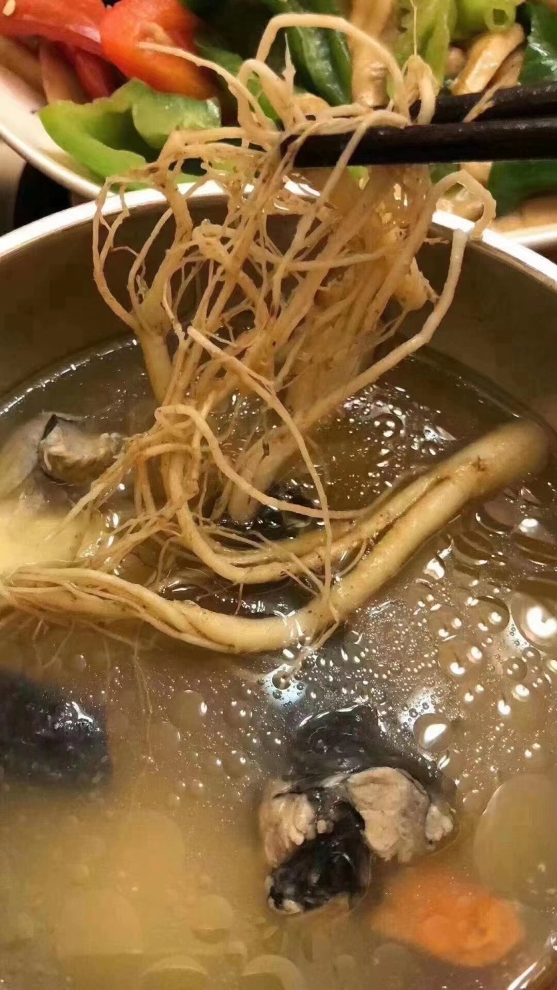 长白山保鲜人参泡酒煲汤现货包邮现货包邮现货包