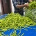 渠县新鲜黄花菜大宗批发黄花菜之乡