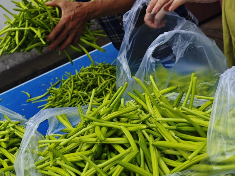 渠县新鲜黄花菜大宗批发黄花菜之乡