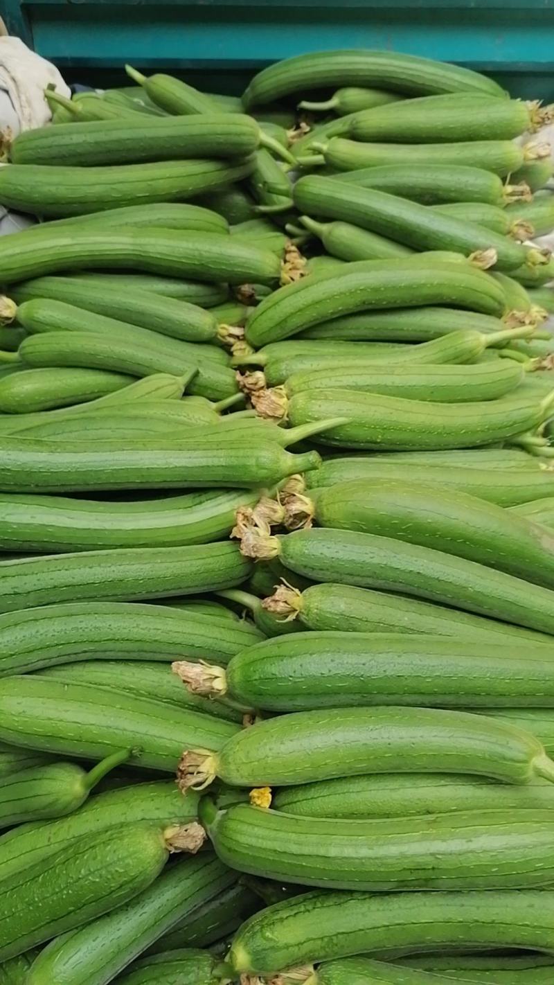 中牟丝瓜