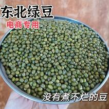 电商专用东北绿豆特惠价食品豆国产解暑豆粥白城绿豆大粒软烂