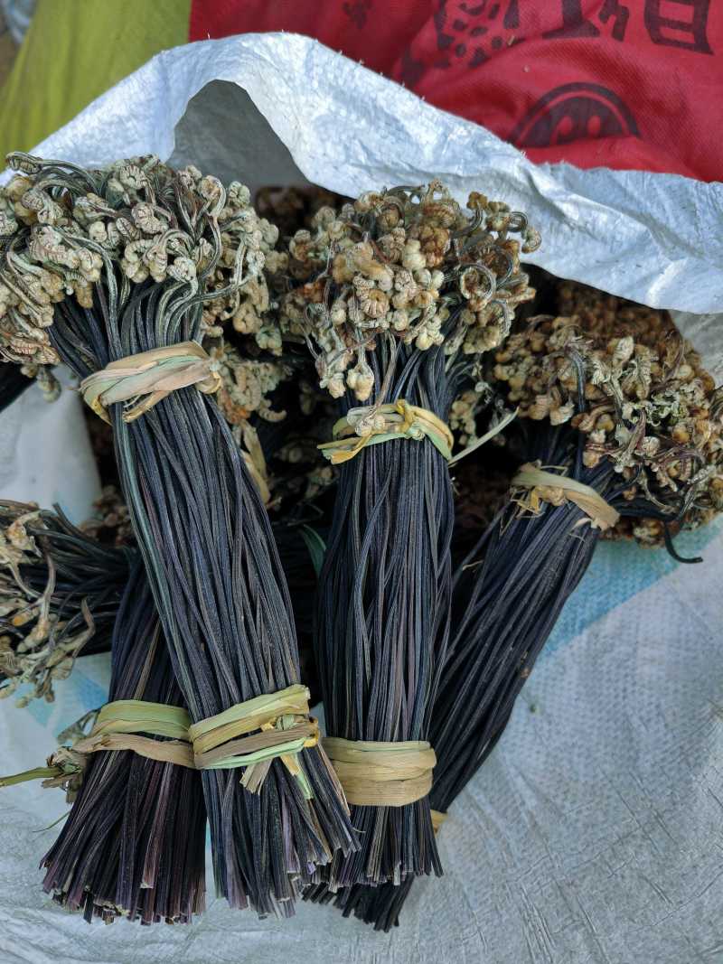 特级云南高原野生蕨菜