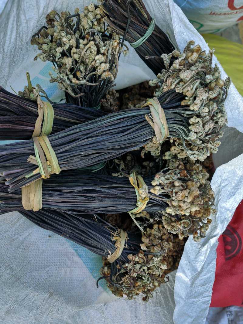 特级云南高原野生蕨菜