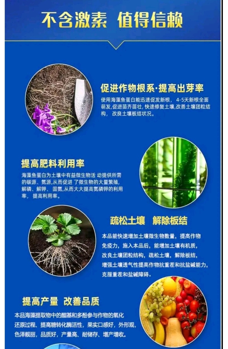 海藻鱼蛋白生根壮秧保花保果改良土壤提质增产