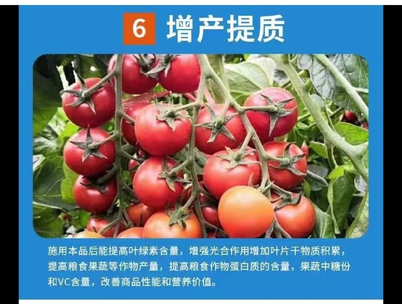 海藻鱼蛋白生根壮秧保花保果改良土壤提质增产