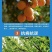 海藻鱼蛋白生根壮秧保花保果改良土壤提质增产