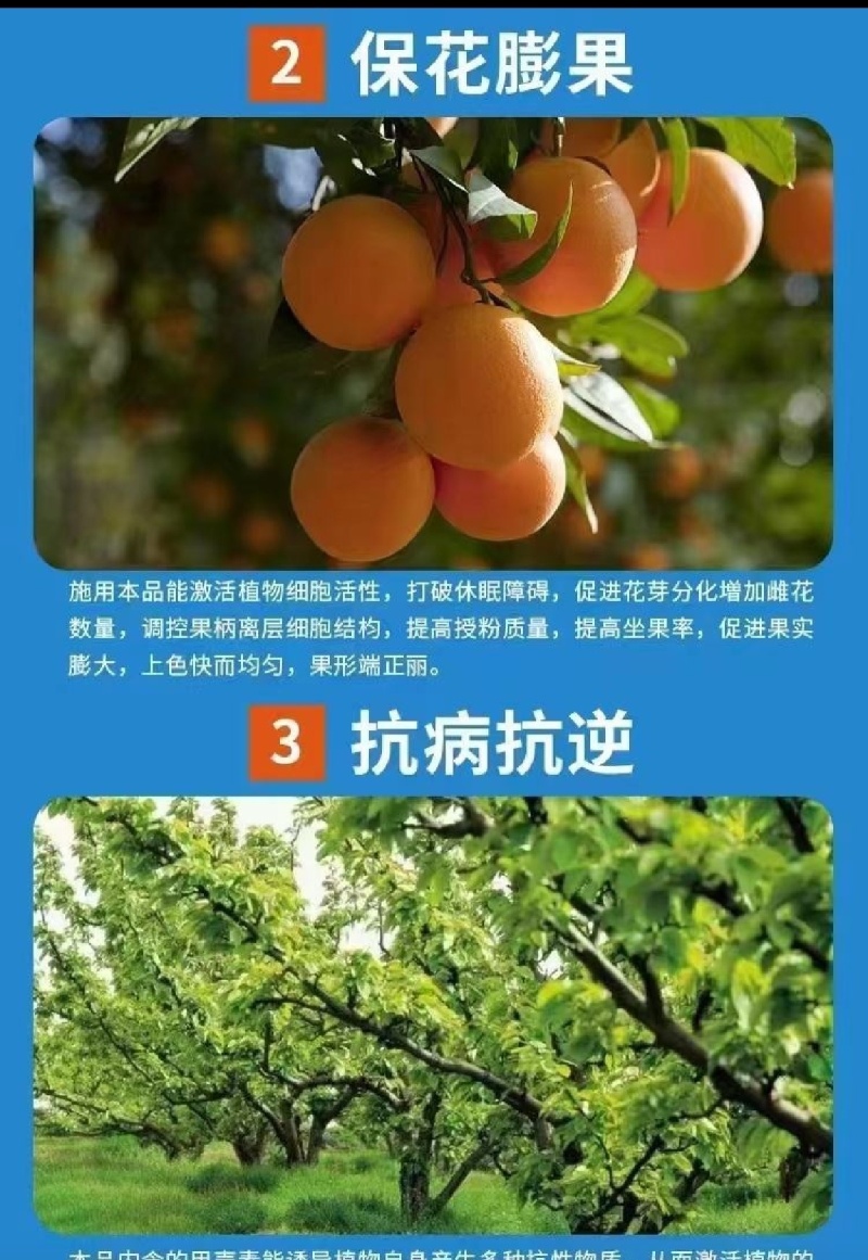 海藻鱼蛋白生根壮秧保花保果改良土壤提质增产