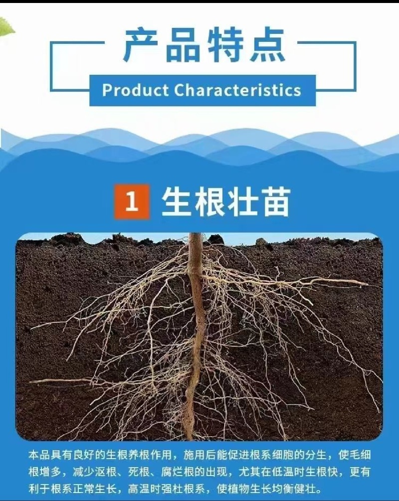 海藻鱼蛋白生根壮秧保花保果改良土壤提质增产