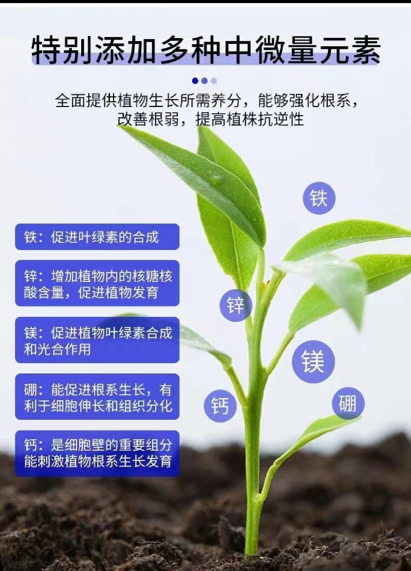 海藻鱼蛋白生根壮秧保花保果改良土壤提质增产