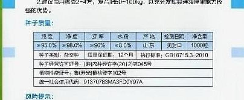 辣椒种子美椒99韩国引进黄绿色细长线椒品种顺直辣味浓