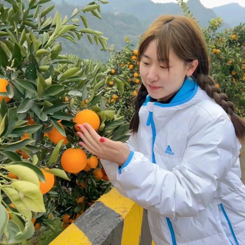 秭归橙子脐橙大量上市，品种齐全，货源充足，全国发货