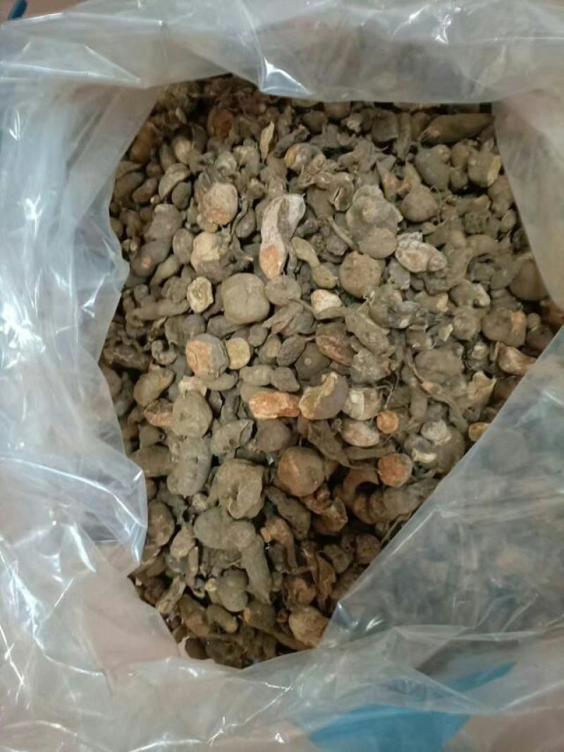 三叶青、野生山货，一首货原包邮发货