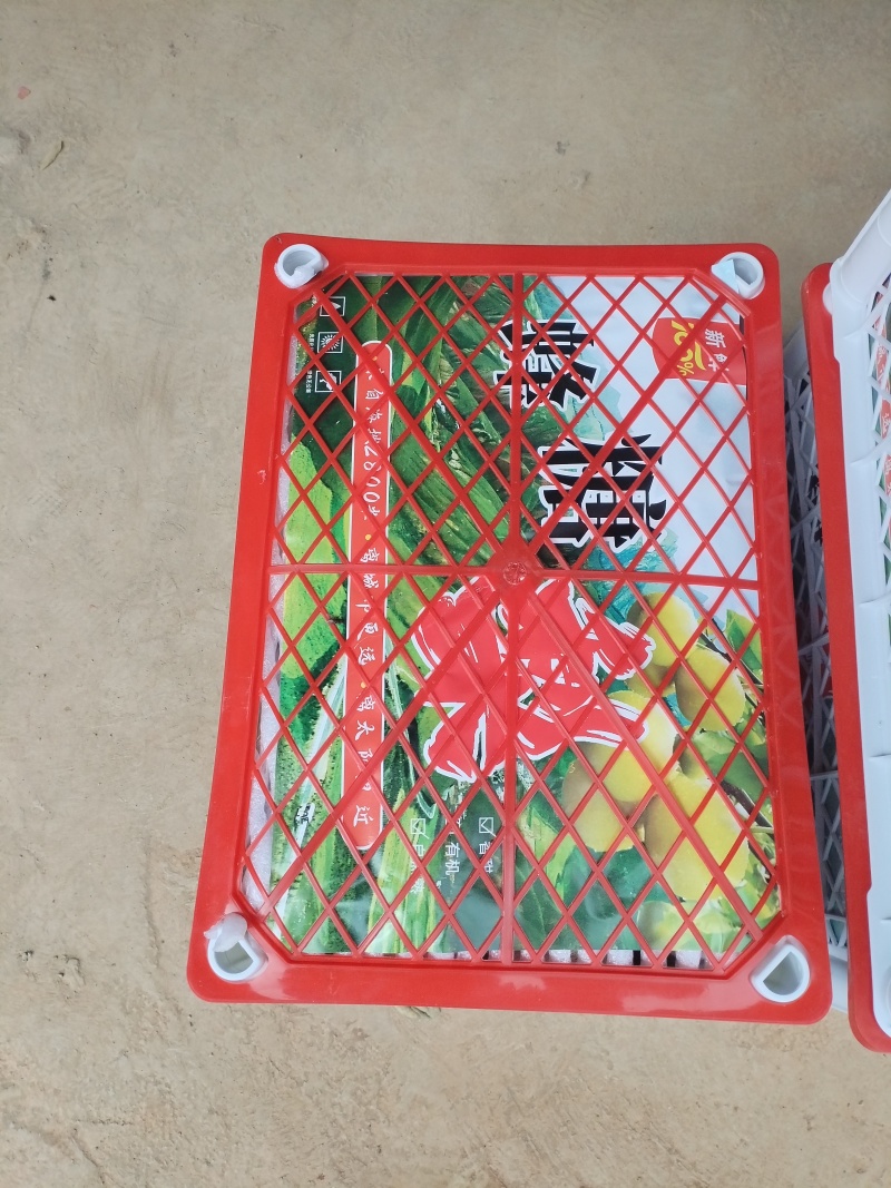 蜂糖梨社区团购