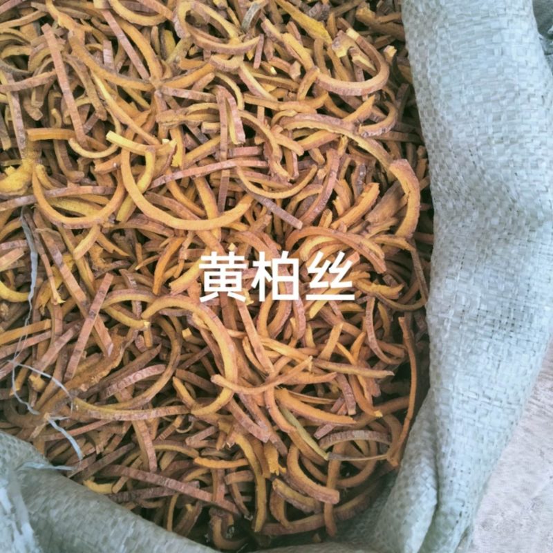 供川黄柏丝