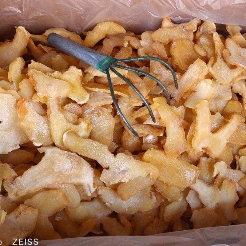 黄精选货湖南干货2斤起包邮量大优惠