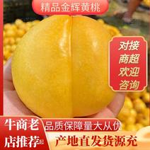 河北精品黄桃品质一手货源产地直发品质高价格美