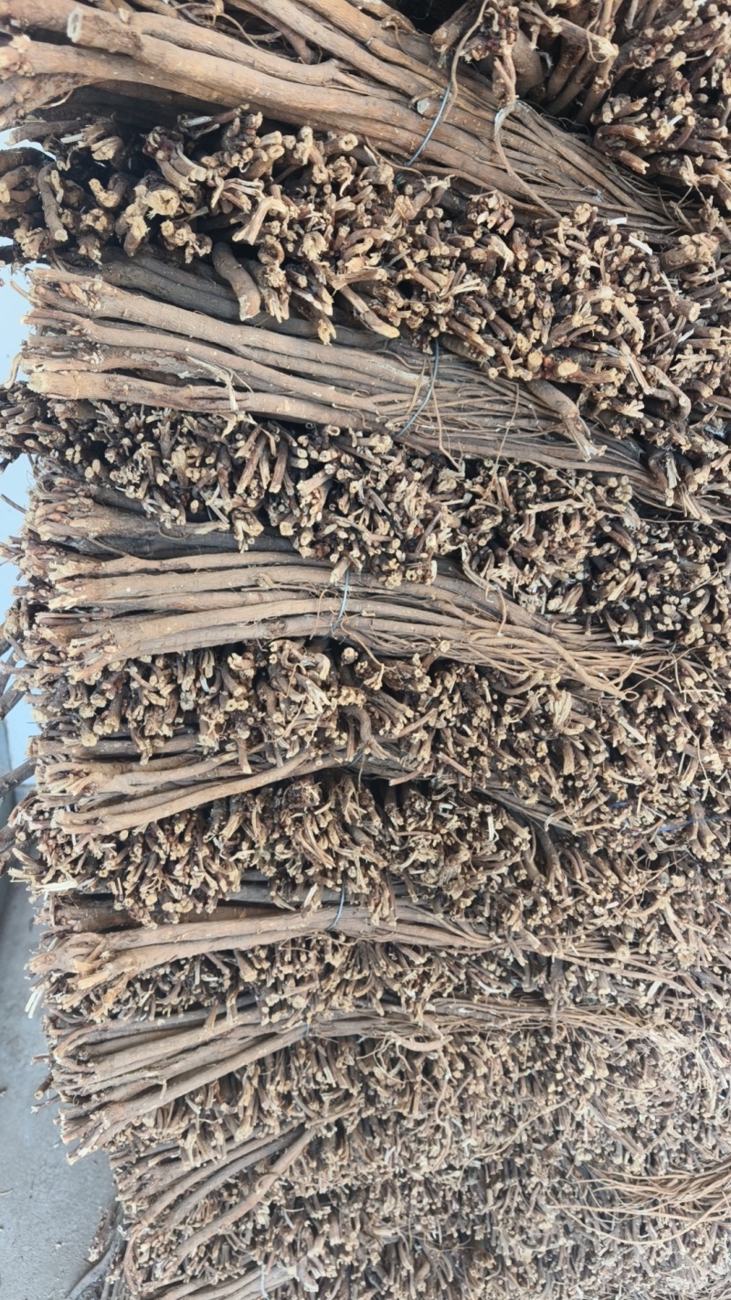 甘肃红芪干货个子，规格齐全，质量有保障，产地直发