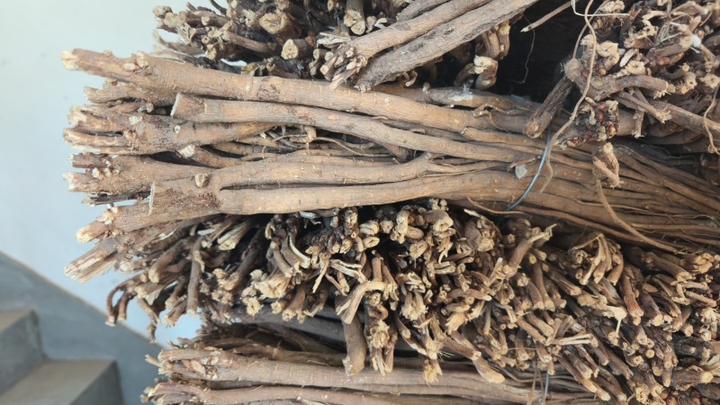 甘肃红芪干货个子，规格齐全，质量有保障，产地直发