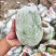 水果冬瓜，电商专用，一手货源，个头匀称，价格合理量大价优