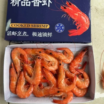 [好货推荐]越南精品香虾熟冻基尾虾对虾九节虾斑节