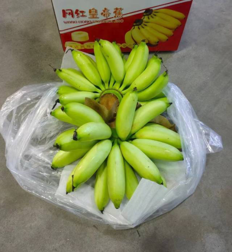 正宗海南皇帝蕉皇帝蕉香甜软糯非常甜纯甜